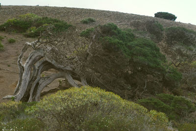 Low angle view of rock formations against sky