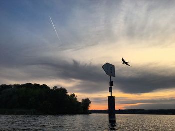 Silhouette birds flying over lake against sky at sunset