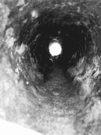 Close-up portrait of dog