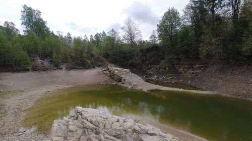 Scenic view of river amidst trees against sky