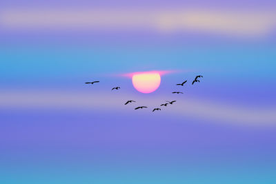 flying