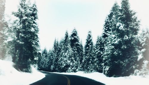 Snow covered road amidst trees against sky