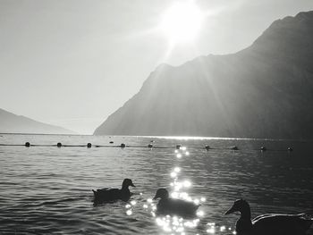 Silhouette people swimming in sea against clear sky