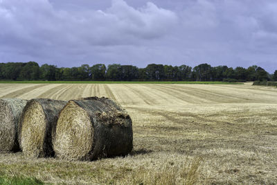 Hay bales on field against sky