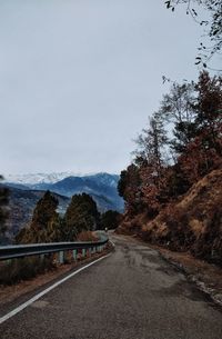 Road by trees against sky