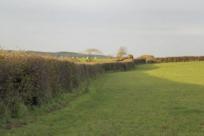 Scenic view of farm against sky