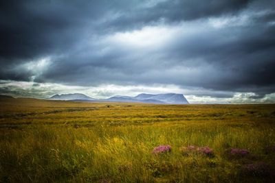 Scenic view of landscape against cloudy sky