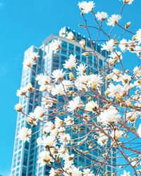 Low angle view of flowering plants against blue sky