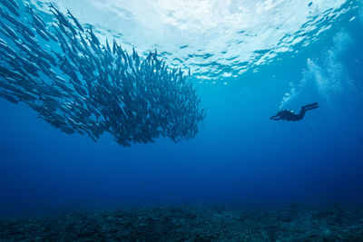 People swimming in sea