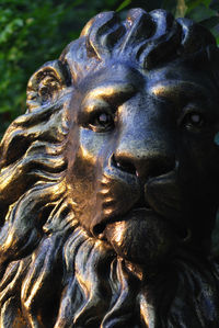 Close-up of lion statue
