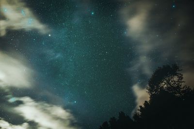 Low angle view of silhouette trees against sky at night