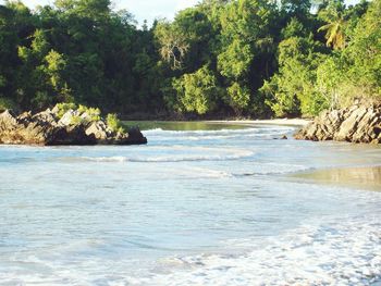 Scenic view of sea against trees