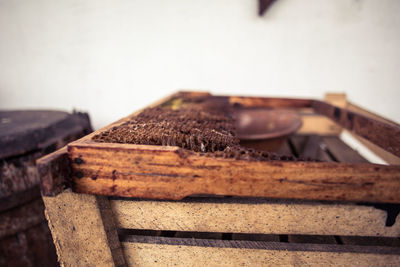 Close-up of wood