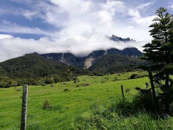 Scenic view of landscape against sky