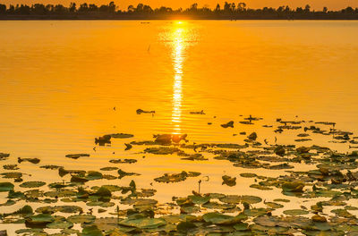 Scenic view of lake against orange sky