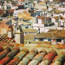 Houses with houses in background