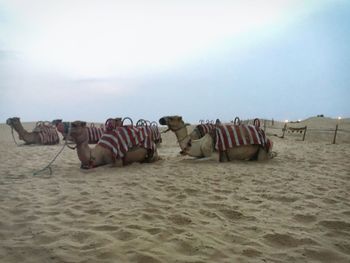 Panoramic view of people on beach