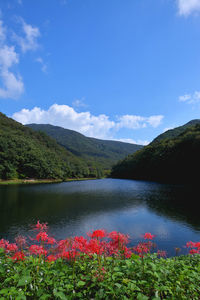 Scenic view of lake against blue sky