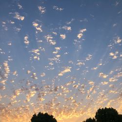 Low angle view of silhouette trees against sky during sunset