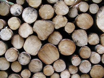 Full frame shot of logs