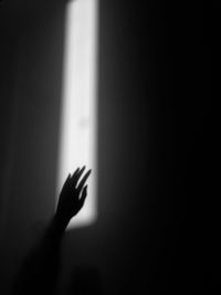 Close-up of cropped wall