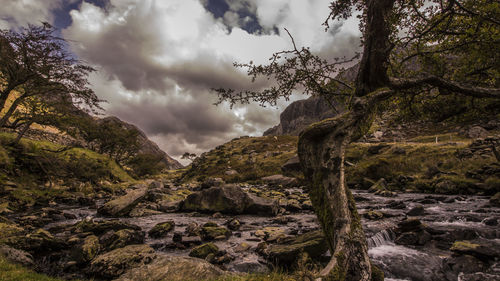 Scenic view of tree mountains against sky