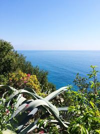 Scenic view of sea against clear sky