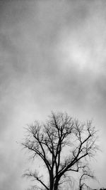 Low angle view of bare tree against sky