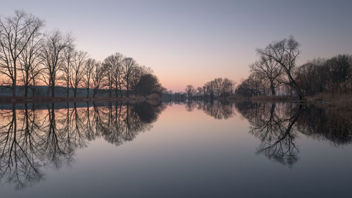 Reflection of trees in lake against sky