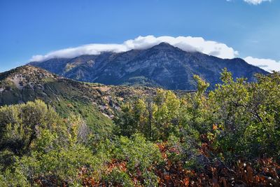 Cascade mountain peak views hiking kyhv peak by mount timpanogos wasatch range, utah. america.