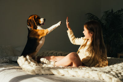 Smiling girl giving high-five to dog on bed at home