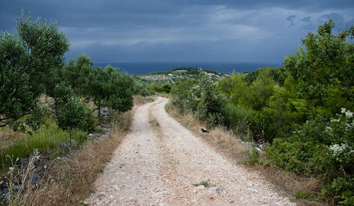 Scenic view of road towards sea against sky