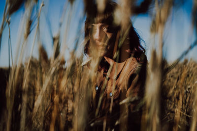 Close-up of stalks in field