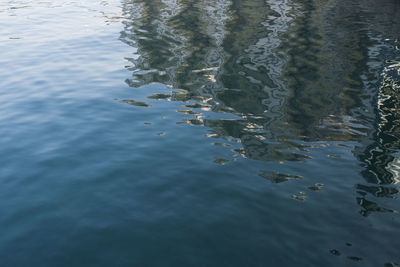 High angle view of a lake