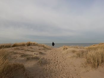 Rear view of man on beach against sky