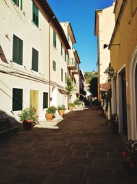 Alley amidst buildings