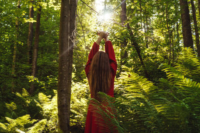 Man standing by tree trunk in forest