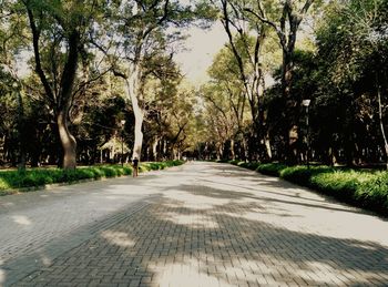 Empty road along trees