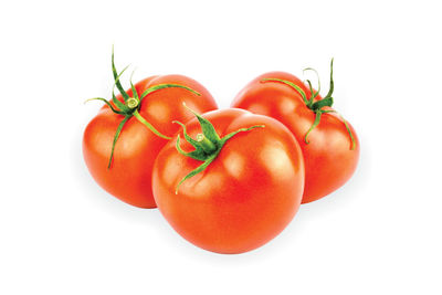 Close-up of tomatoes against white background