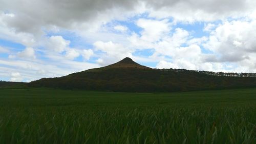 Scenic view of field against sky