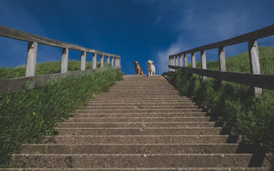 Low angle view of people on staircase against sky