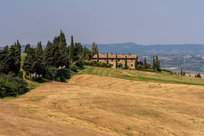 Scenic view of landscape against clear sky