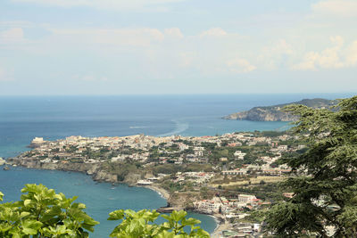 Scenic view of sea and trees against sky