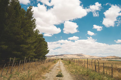 Empty footpath by trees against cloudy sky