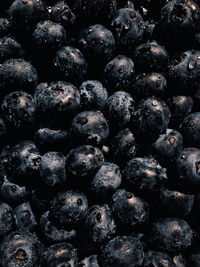 Full frame shot of blueberries