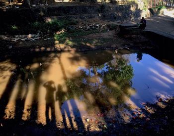 Reflection of trees in water