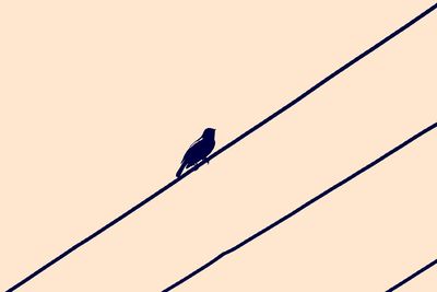 Low angle view of bird perching on cable against sky