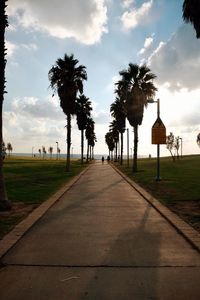 Empty road along palm trees and plants against sky
