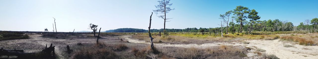 Scenic view of land against clear sky