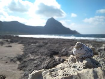 Rocks on beach against sky